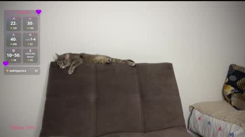 Vio online show from March 2025 08:21:02 PM