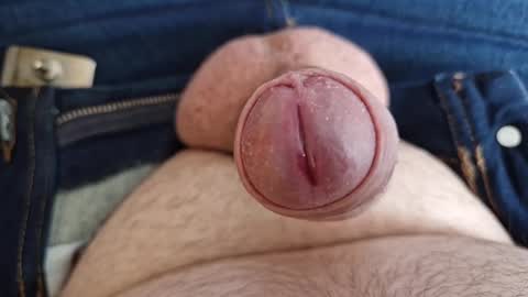 Homer Jay Simpson online show from February 2025 08:51:02 AM