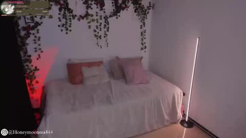       online show from February 2025 10:14:02 PM