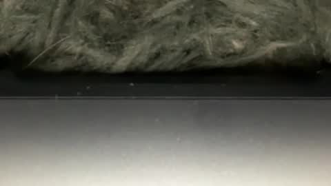 D online show from February 2026 05:38:02 AM