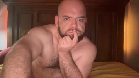 hornazzbear online show from December 2025 08:30:01 AM