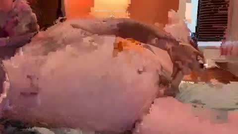 Snapshot of horndawglove chatting on January 2025 07:56:02 PM horndawglove online show from January 2025 07:56:02 PM