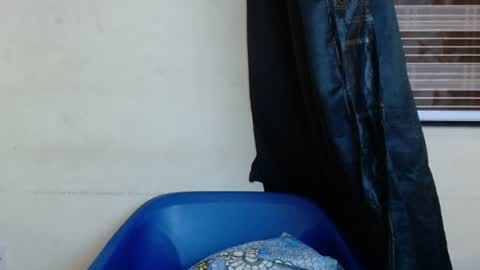 horny4bum online show from March 2025 07:48:01 PM