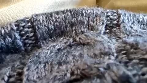 Snapshot of hornyallthetime6969696969 chatting on March 2025 07:12:02 PM Tiny cock online show from March 2025 07:12:02 PM