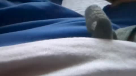 Snapshot of hornyallthetime6969696969 chatting on July 2026 01:32:02 AM Tiny cock online show from July 2026 01:32:02 AM
