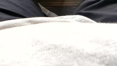 Snapshot of hornyallthetime6969696969 chatting on July 2026 11:37:02 AM Tiny cock online show from July 2026 11:37:02 AM