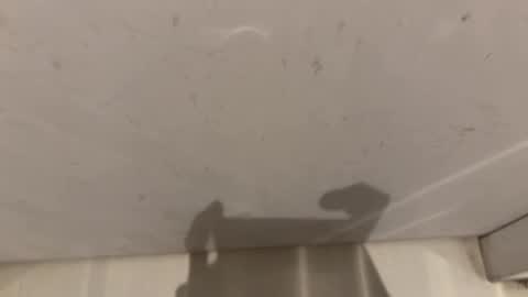 Snapshot of hornybear420420420 chatting on March 2026 09:16:01 AM hornybear420420420 online show from March 2026 09:16:01 AM