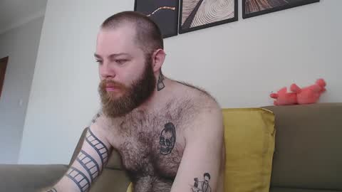 Snapshot of hornyhairy_bi chatting on February 2025 03:19:01 PM Harry online show from February 2025 03:19:01 PM