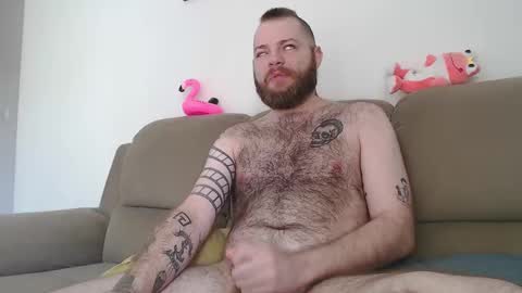 Snapshot of hornyhairy_bi chatting on March 2025 05:50:01 PM Harry online show from March 2025 05:50:01 PM