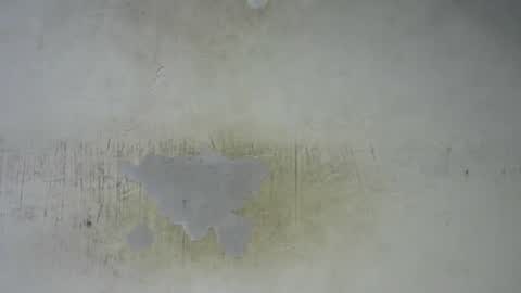 Bella online show from February 2026 09:48:02 PM