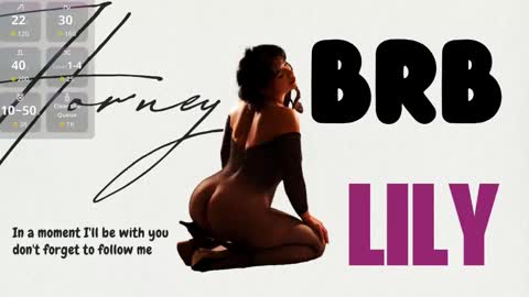 Snapshot of hornystepmommy_ chatting on November 2025 12:33:01 AM LILY online show from November 2025 12:33:01 AM