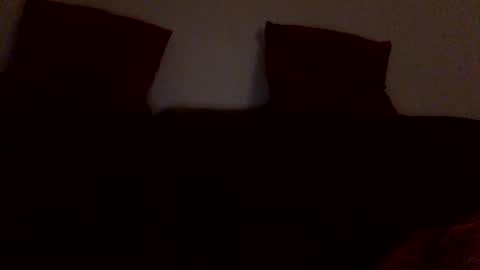 Snapshot of horsechris chatting on November 2025 08:57:01 PM Chriss90 online show from November 2025 08:57:01 PM