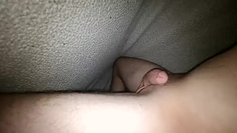 Snapshot of horsecock9748 chatting on December 2024 09:08:02 PM horsecock9748 online show from December 2024 09:08:02 PM