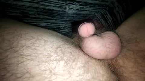 Snapshot of horsecock9748 chatting on February 2025 09:52:02 AM horsecock9748 online show from February 2025 09:52:02 AM