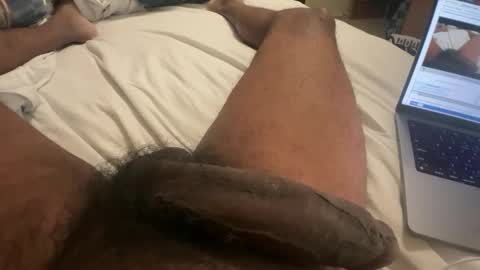 Snapshot of horsedick1236 chatting on February 2025 12:21:01 PM Bbc horsey online show from February 2025 12:21:01 PM