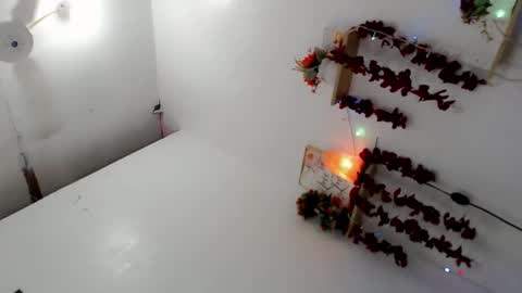    online show from February 2025 01:32:01 PM