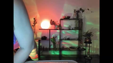 Hot Pictorica online show from December 2025 12:26:02 AM