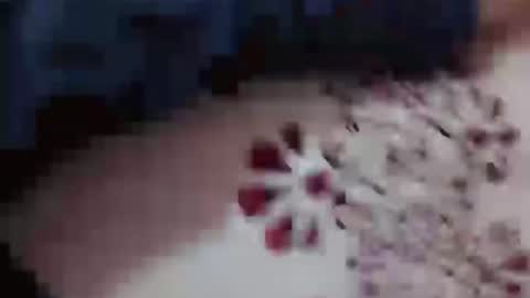 Hotcapolx online show from November 2025 04:51:01 PM