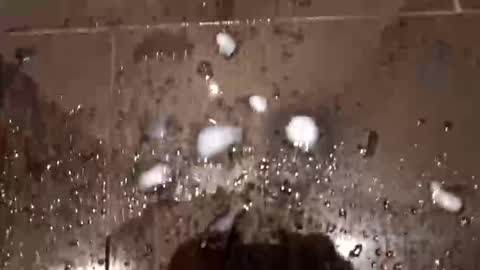 Hot Dutchie online show from March 2026 08:33:01 AM