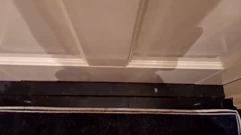 Hot Dutchie online show from April 2026 08:09:01 PM