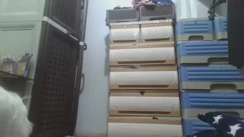 Snapshot of hotlavender chatting on December 2025 02:28:02 AM hotlavender online show from December 2025 02:28:02 AM