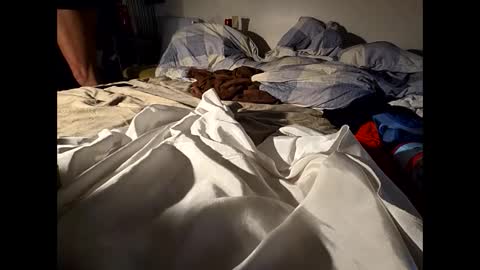 hotrox6942 online show from November 2025 09:01:01 AM