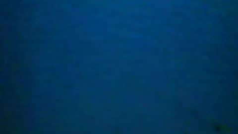 Snapshot of hotsurfdude1992 chatting on October 2025 10:13:02 AM hotsurfdude1992 online show from October 2025 10:13:02 AM