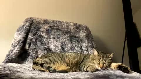 hottiewithabody101 online show from April 2026 09:51:02 PM