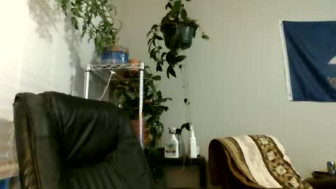 Snapshot of hottop_1981 chatting on July 2026 02:52:02 AM Hottop 1981 online show from July 2026 02:52:02 AM