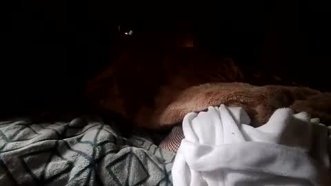 Snapshot of houndmefromhell chatting on December 2024 04:22:01 PM houndmefromhell online show from December 2024 04:22:01 PM