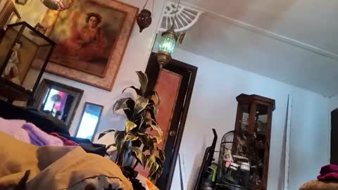 Snapshot of houndmefromhell chatting on March 2025 09:59:02 PM houndmefromhell online show from March 2025 09:59:02 PM