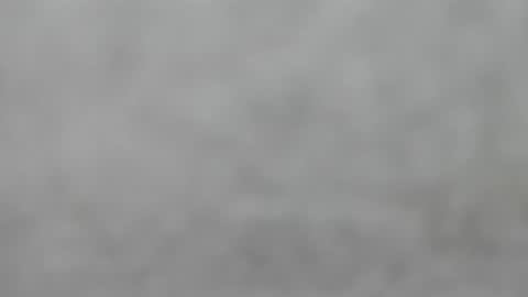 Snapshot of hourg chatting on September 2025 04:44:01 AM Slutty little female cat online show from September 2025 04:44:01 AM