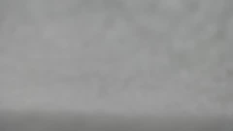 Snapshot of hourg chatting on October 2025 04:48:01 AM Slutty little female cat online show from October 2025 04:48:01 AM