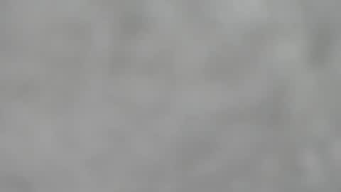 Slutty little female cat online show from November 2025 04:56:02 AM