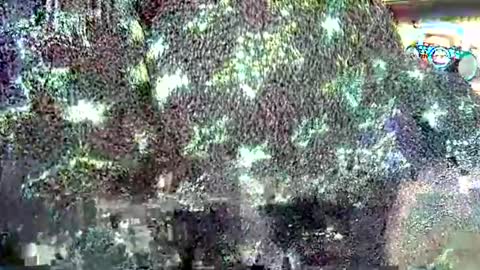 hp58649blabla online show from September 2025 07:55:02 AM