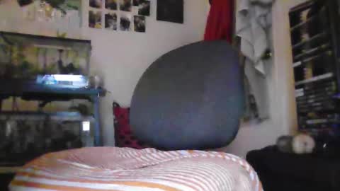 Snapshot of hrnyymff chatting on November 2025 05:04:02 PM hrnyymff online show from November 2025 05:04:02 PM