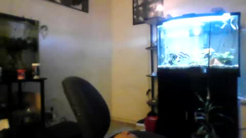 hrnyymff online show from June 2026 04:52:02 AM