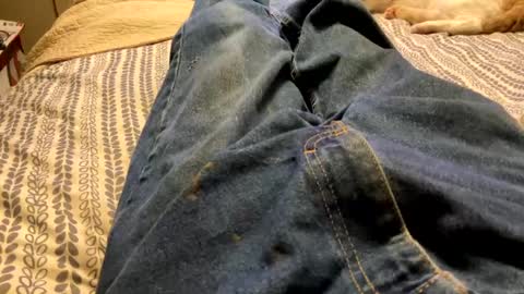 Snapshot of huckleberry22222 chatting on September 2025 02:38:02 PM huckleberry22222 online show from September 2025 02:38:02 PM