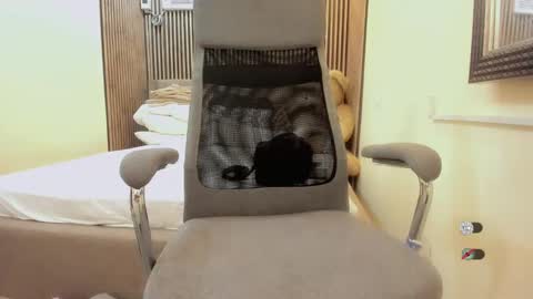 Snapshot of hugecockgoddessxxx chatting on December 2024 07:29:02 AM Queen karen grey online show from December 2024 07:29:02 AM