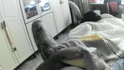 hugeveiny online show from May 2026 07:37:02 AM