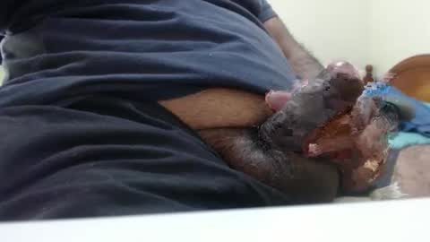 Snapshot of hugo_bulls chatting on December 2025 03:11:02 AM HunkyLover online show from December 2025 03:11:02 AM