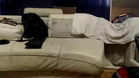 Snapshot of huippari chatting on September 2025 12:32:02 PM huippari online show from September 2025 12:32:02 PM