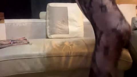 Snapshot of huippari chatting on December 2025 11:09:02 PM huippari online show from December 2025 11:09:02 PM