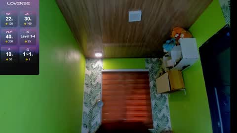 Snapshot of hungasiangirl chatting on December 2024 03:04:01 AM help me make 25000 tokens for my mother HEARING aid online show from December 2024 03:04:01 AM