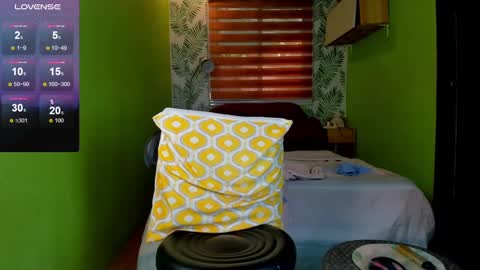 Snapshot of hungasiangirl chatting on December 2024 02:45:02 AM help me make 25000 tokens for my mother HEARING aid online show from December 2024 02:45:02 AM