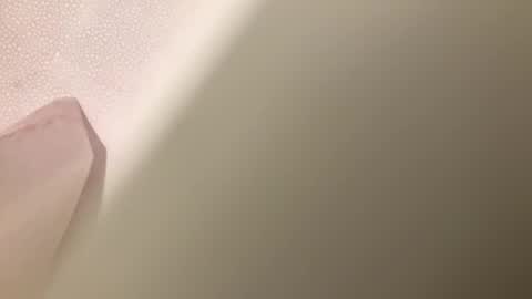 Snapshot of hungjackedge chatting on November 2025 06:46:02 PM Frednvelma online show from November 2025 06:46:02 PM