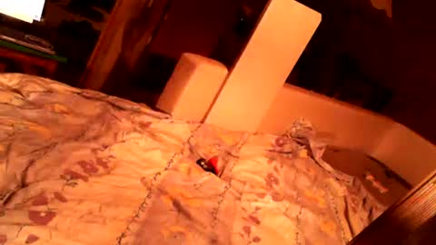 Snapshot of hungryanalslut chatting on February 2025 10:58:01 PM hungryanalslut online show from February 2025 10:58:01 PM