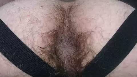 Snapshot of hunkytime chatting on July 2026 06:05:01 AM I AM NOT A DIRECTOR I AM THE BOSS KINGDADDYSIRSTR8ALPHAMASTER online show from July 2026 06:05:01 AM