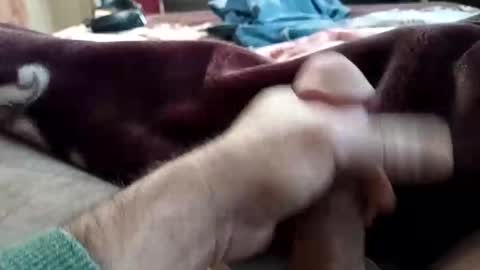 husky1511 online show from November 2025 09:20:01 AM