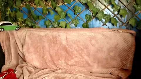 Snapshot of hustle6930 chatting on December 2024 04:30:02 AM Kayla online show from December 2024 04:30:02 AM